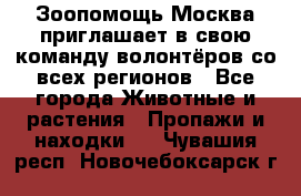 Зоопомощь.Москва приглашает в свою команду волонтёров со всех регионов - Все города Животные и растения » Пропажи и находки   . Чувашия респ.,Новочебоксарск г.